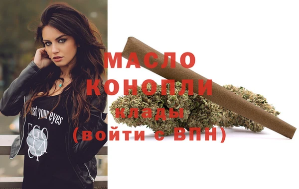 индика Покачи