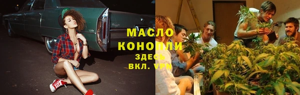 индика Покачи