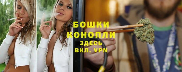 индика Покачи