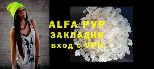 индика Покачи