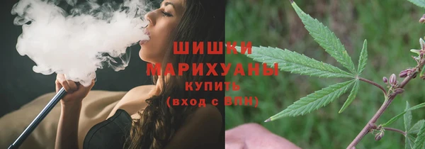 индика Покачи