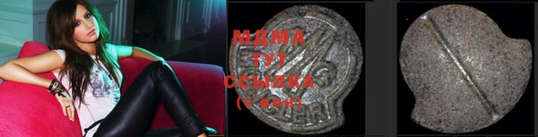 индика Покачи