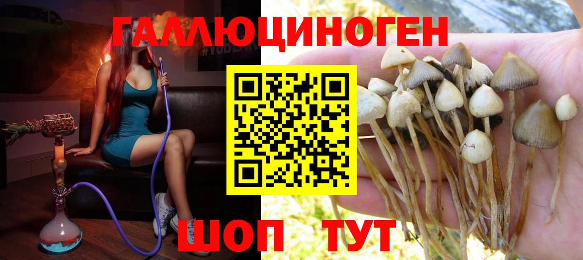 Стрежевой  Псилоцибиновые грибы Cubensis  закладка  Вход с VPN 