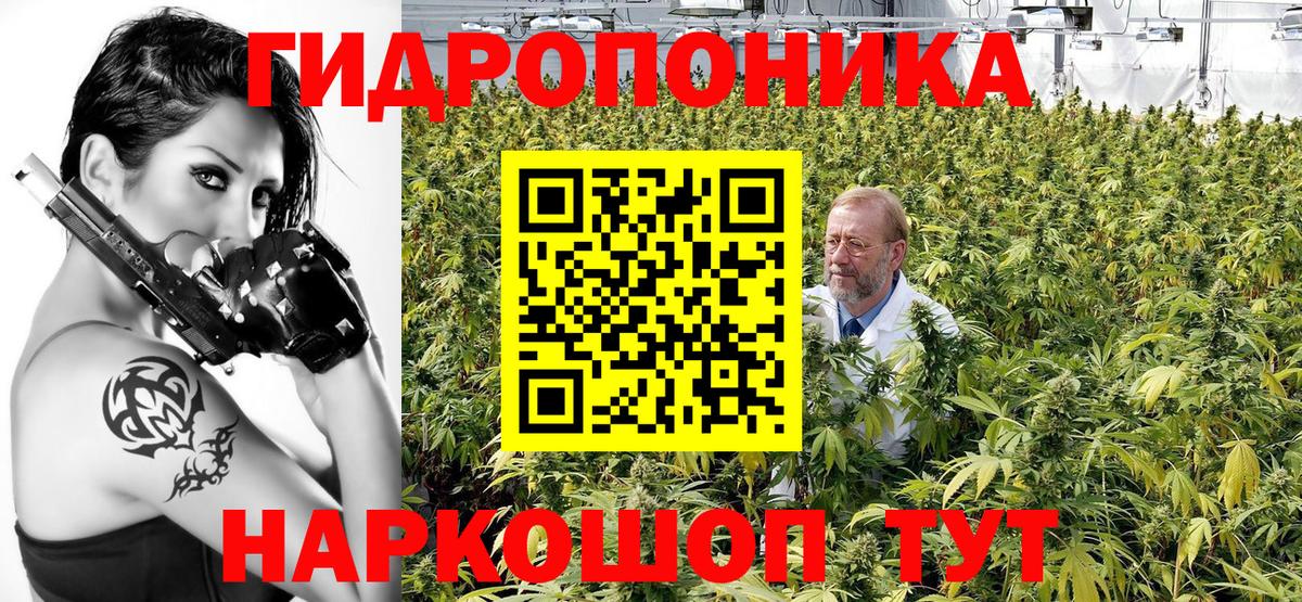 Стрежевой  Марихуана индика  Каннабис OG Kush  Канабис Amnesia  Вход с VPN 